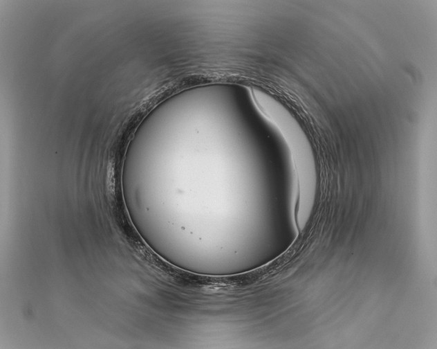 X0000112820700200909041515