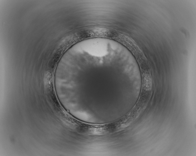 X0000112820701200909041515