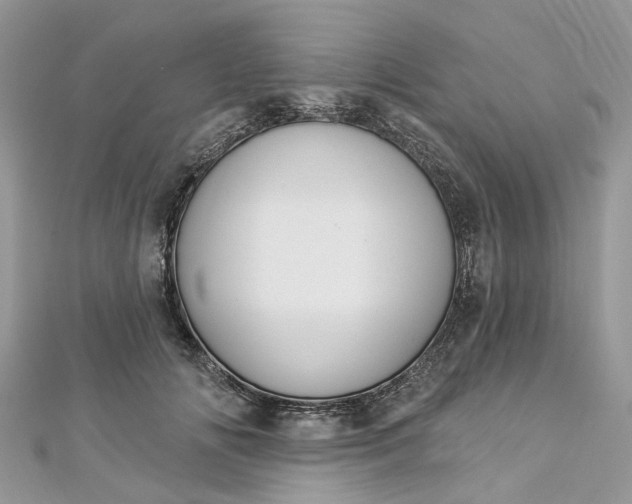 X0000112820702200909041515