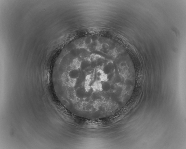 X0000112820703200909041515