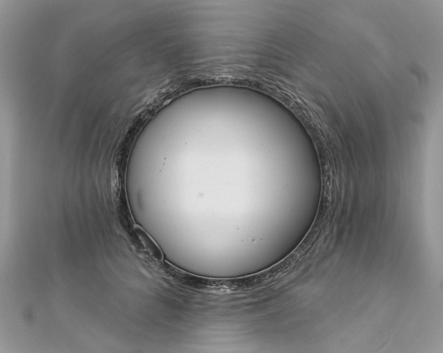 X0000112820704200909041515