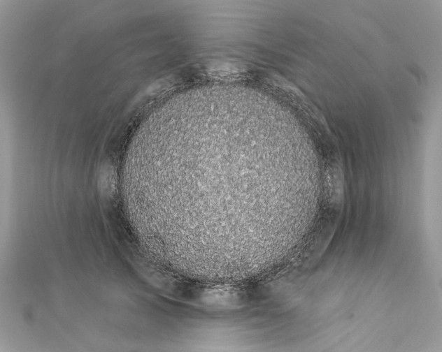 X0000112820705200909041515