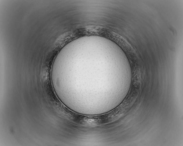 X0000112820706200909041515