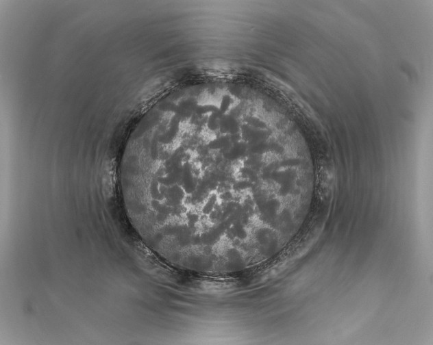 X0000112820707200909041515