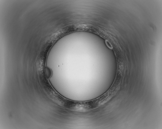 X0000112820708200909041515