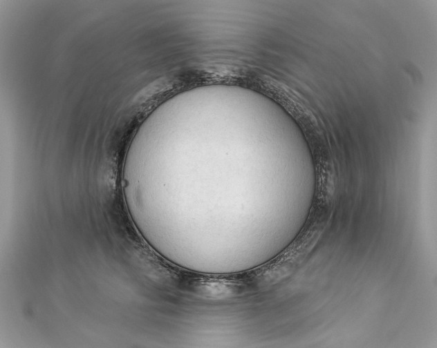 X0000112820710200909041515