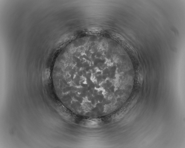 X0000112820711200909041515