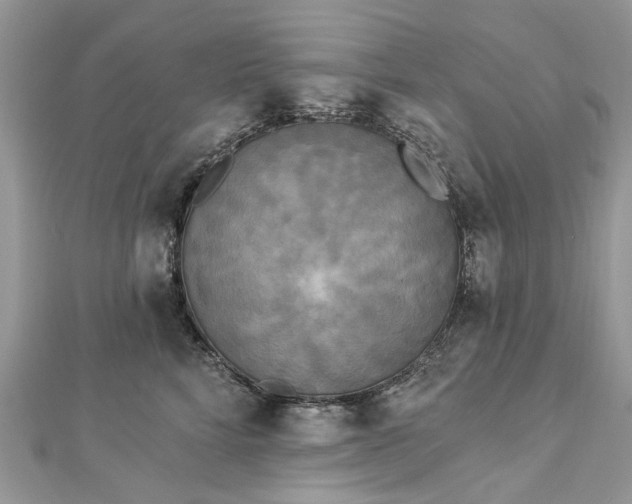 X0000112820712200909041515