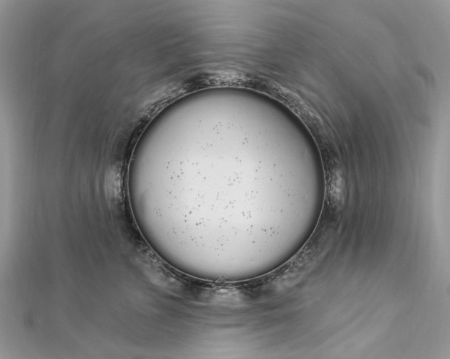 X0000112820715200909041515