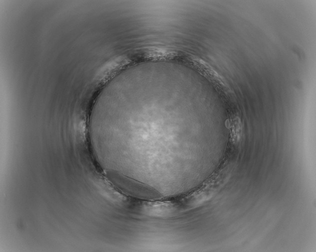 X0000112820716200909041515