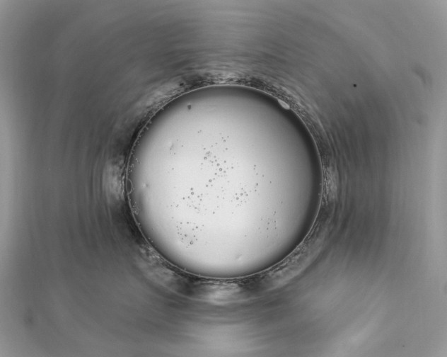 X0000112820719200909041515