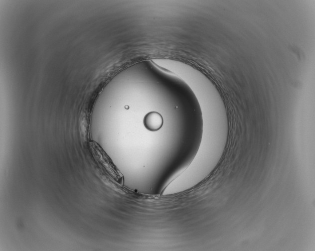 X0000112820720200909041515