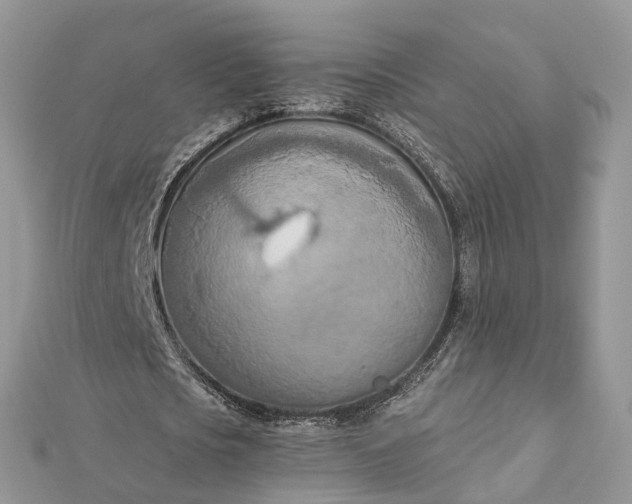 X0000112820721200909041514