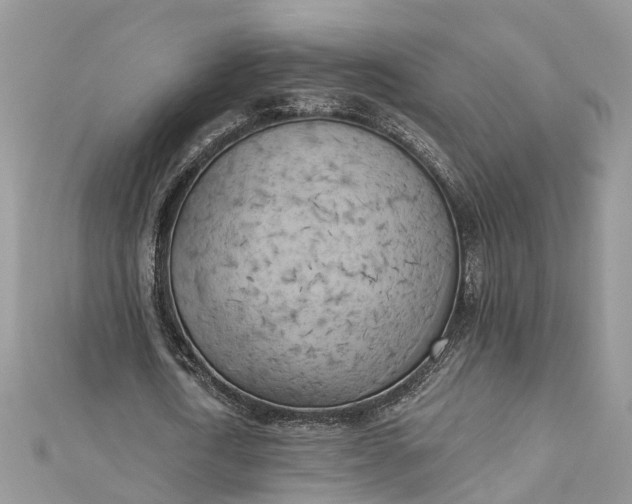 X0000112820722200909041514