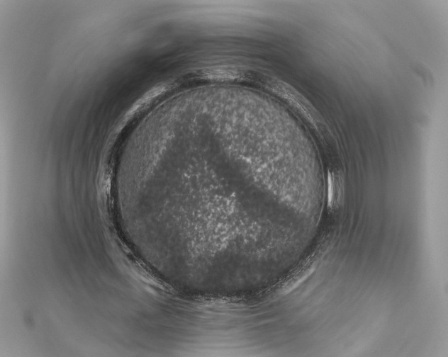 X0000112820723200909041514