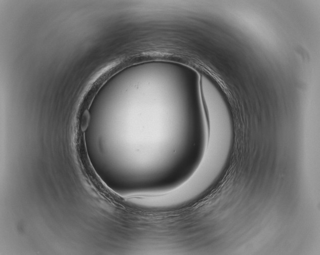 X0000112820724200909041514