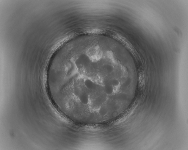 X0000112820725200909041514