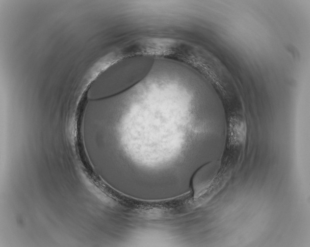 X0000112820726200909041514