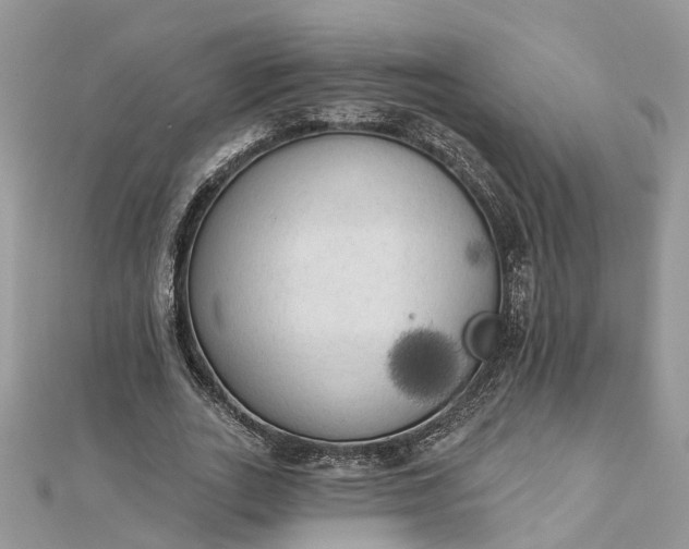 X0000112820727200909041514