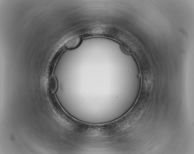 X0000112820728200909041514