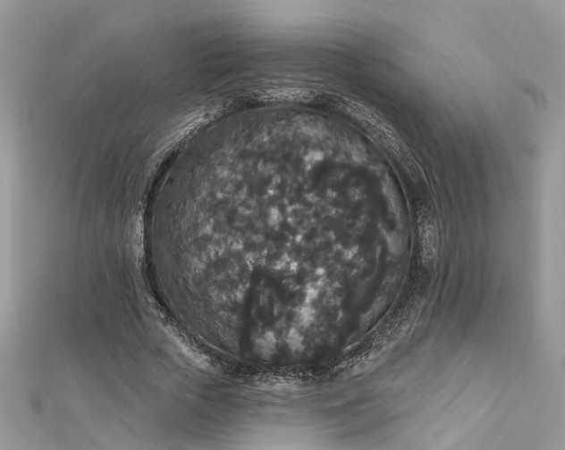 X0000112820729200909041514