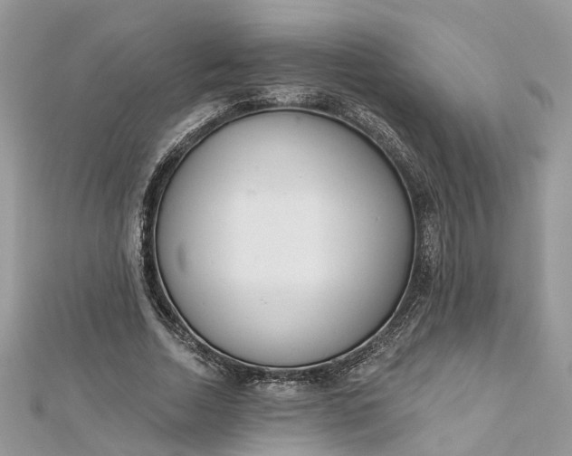 X0000112820730200909041514