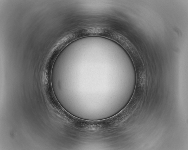 X0000112820731200909041514