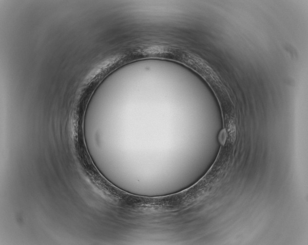 X0000112820732200909041514