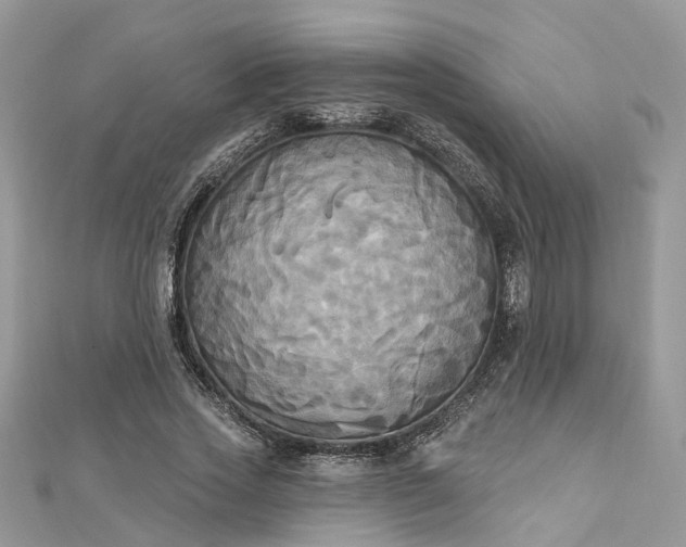 X0000112820733200909041514