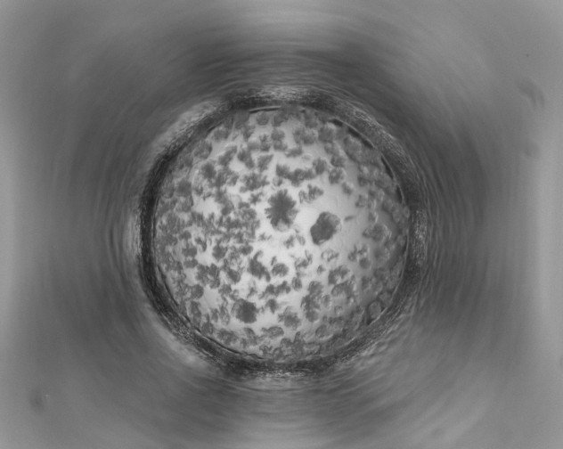 X0000112820734200909041514