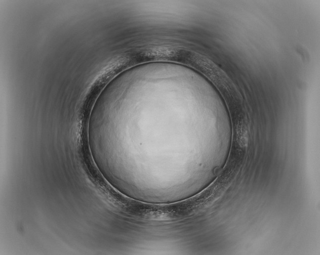 X0000112820735200909041514