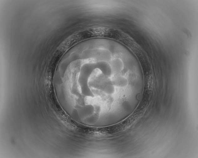 X0000112820737200909041514