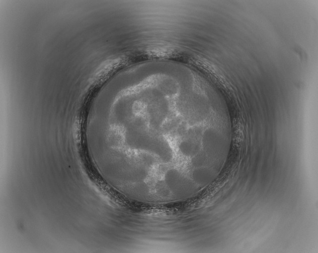 X0000112820738200909041514