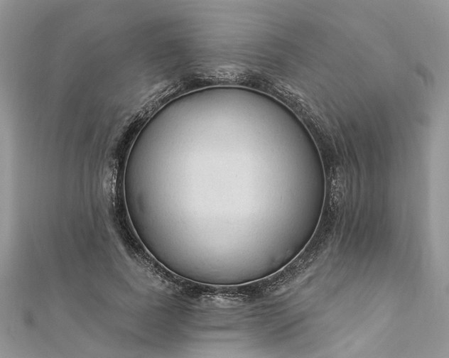 X0000112820739200909041514