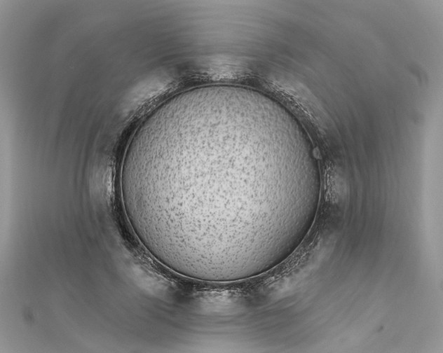 X0000112820740200909041514