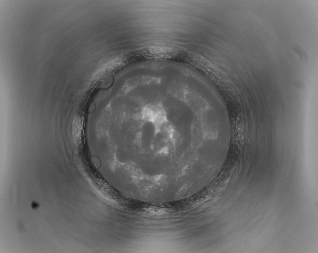 X0000112820742200909041514