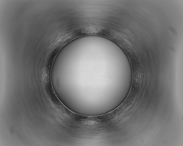 X0000112820743200909041514