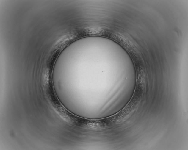 X0000112820744200909041514