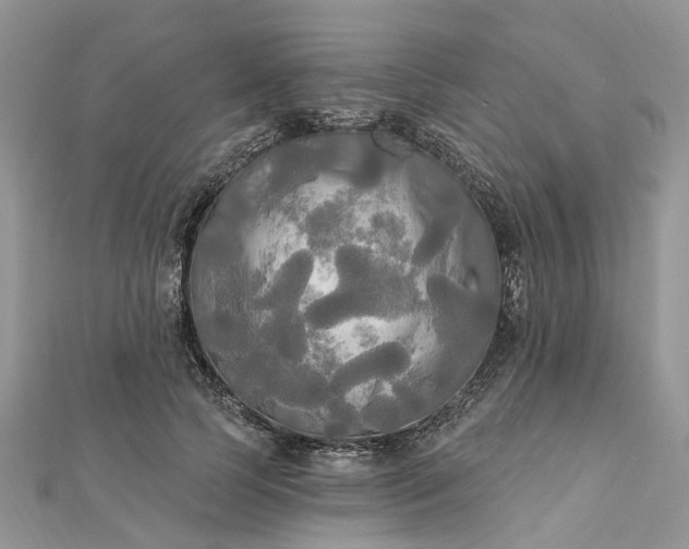 X0000112820745200909041514