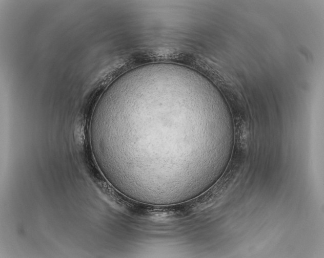 X0000112820746200909041514