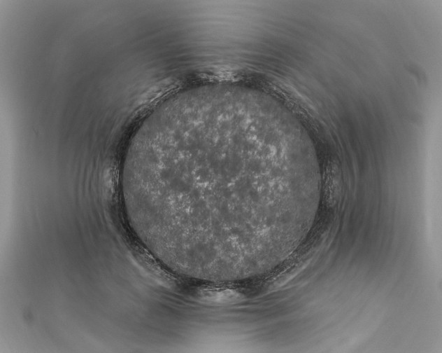 X0000112820747200909041514