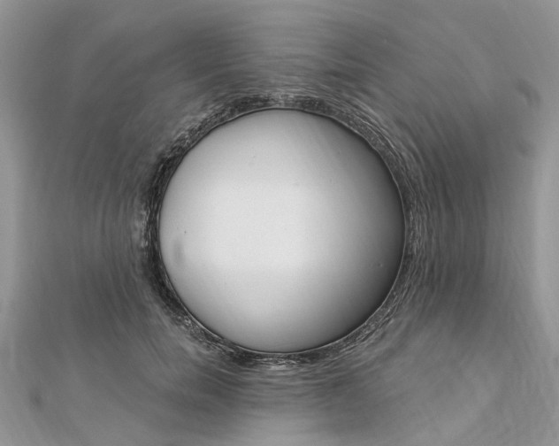 X0000112820750200909041514