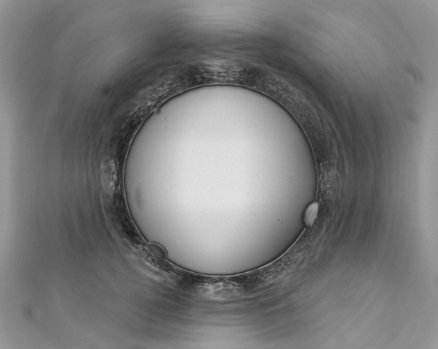 X0000112820752200909041514