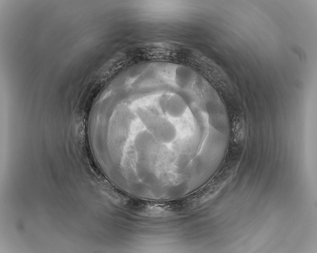 X0000112820753200909041514