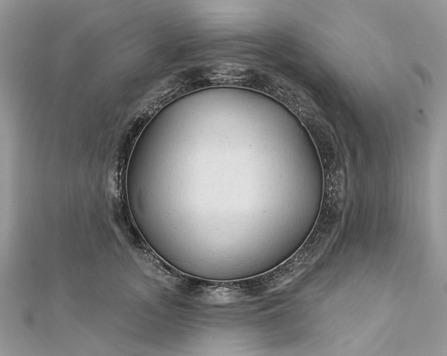 X0000112820755200909041515