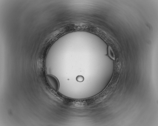 X0000112820756200909041515