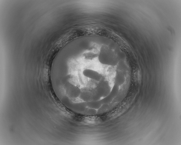 X0000112820757200909041515