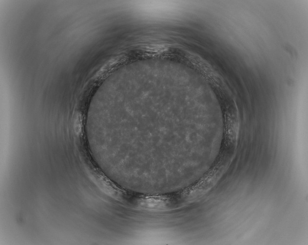 X0000112820758200909041515