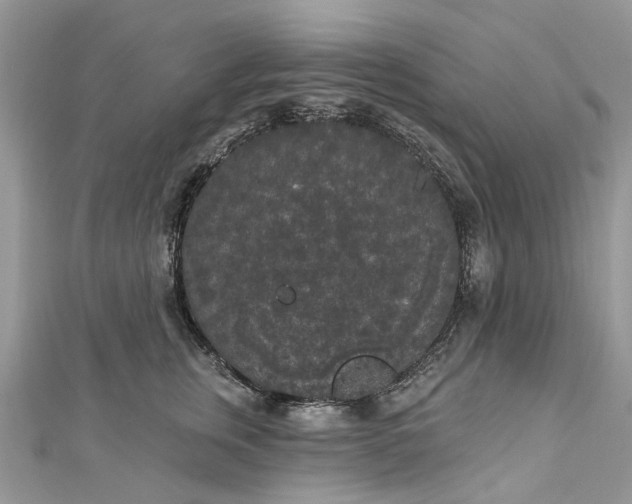 X0000112820759200909041515