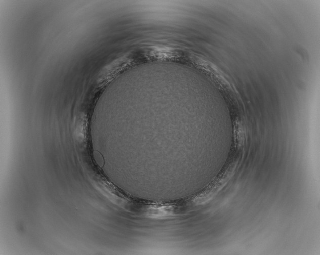 X0000112820760200909041515